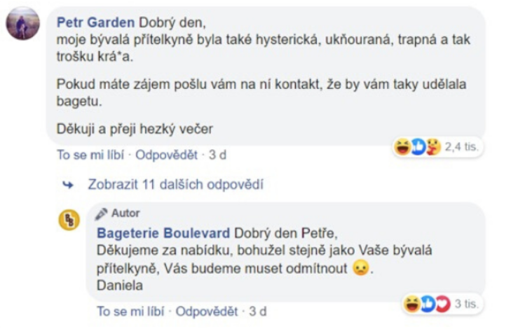 Příklad nenávistné recenze